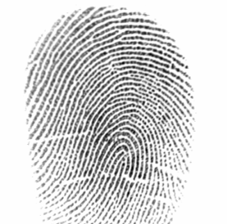 fingerprint before normalization