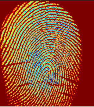 fingerprint after normalization