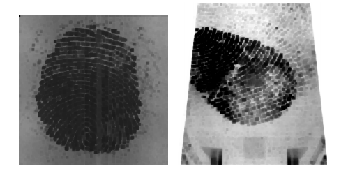 fingerprint eroded